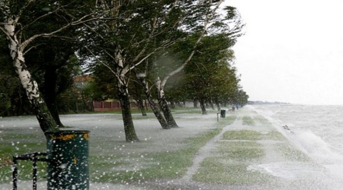 stuhia_20200208-163317_Gallery-750x450