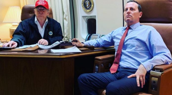 GRENELL-TRUMP_2-37-600x360