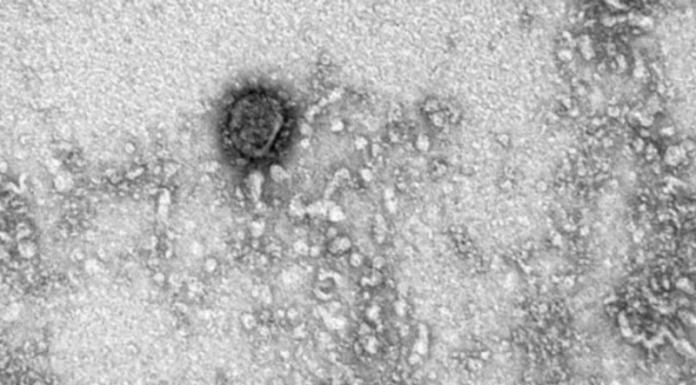 Screenshot_117-800x450