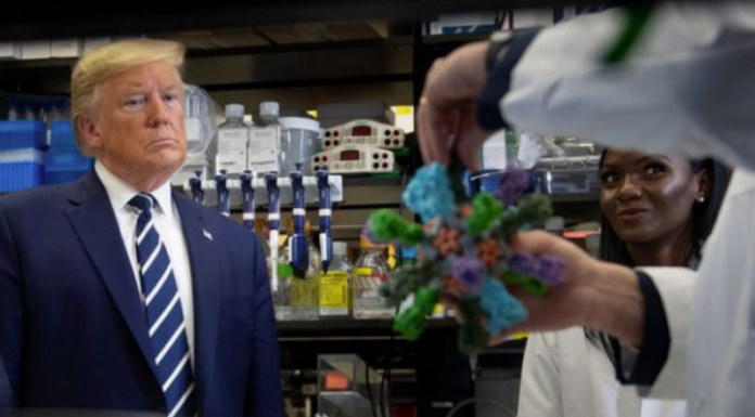 TRUMP_89-800x450
