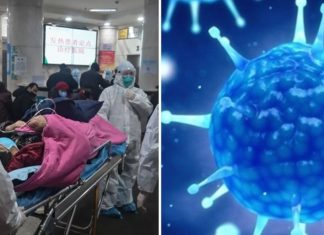 Shfaqet virusi i ri kinez i quajtur ‘Hanta’, vdes një person në autobus, izolohen 32 persona