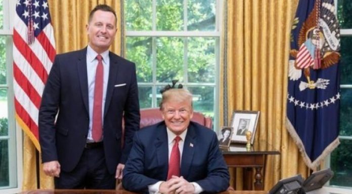 trump-grenell