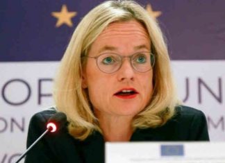 Eurodeputetja ngre alarmin: Trazirat në Maqedoninë e Veriut mund të përhapen në rajon, do përdoren nga Rusia