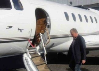 Behgjet Pacolli arrin në aeroportin e Prishtinës