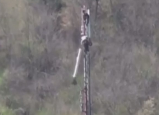 Bien zogjtë nga qielli në Bogovinë të Tetovës, operatori A1 thotë se është nga përdorimi i shtuar i internetit