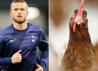Ylli i Tottenham befason nga karantina: Po rris pula, i kam si fëmijët e mi