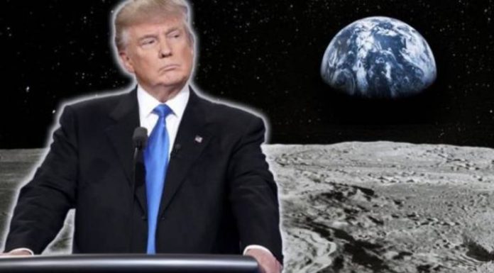 trumponthemoon780