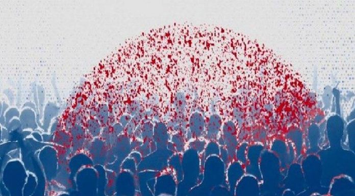 virus-800-0-5e9c0271c8821