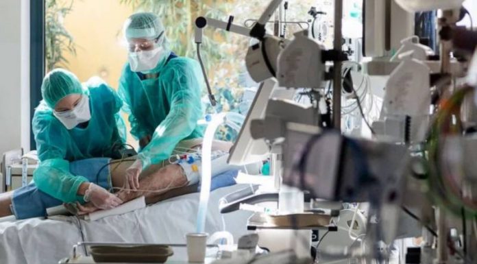 virus-itali_3-24-800x4500