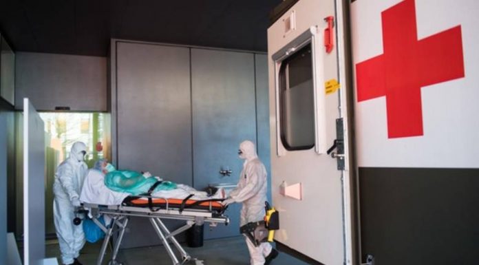 zvicer-mjek-spitalt780