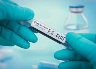 Epidemiologu shqiptar: Nëse shfaqet në vjeshtë, koronavirusi do jetë…