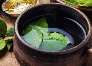 Të gjitha sekretet e bukurisë gjenden tek gjethet e dafinës