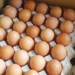 Si t’i dalloni vezët e freskëta, shenjat që zbulojnë të vërtetën e shitësve