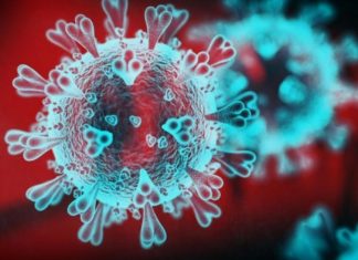 Maqedoni, pritet të rritet numri i të infektuarve me coronavirus