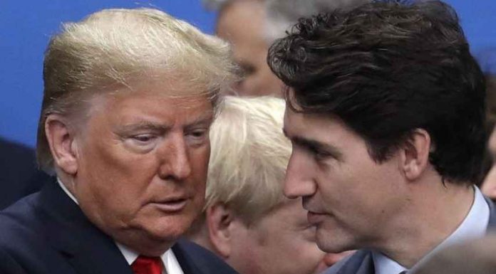 Turdeau Trump