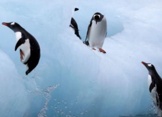 E pazakontë: Shkencëtarët kanë gjetur ajrin më të pastër në Tokë