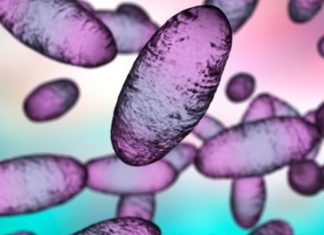 Çfarë është murtaja bubonike dhe çfarë nënkupton në të vërtetë një alarm i nivelit 3, i lëshuar nga Kina?