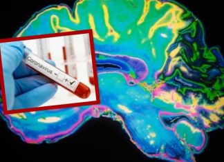 Shkencëtarët paralajmërojnë për një valë potenciale të dëmtimit trunor nga kronavirusi