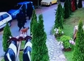 Vulin: Bashkë me ushtarët serbë nga Muhoci në Karaçevë patrulluan ushtarët turq e amerikanë
