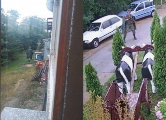 Banorët e Karaçevës: Problemi me xhandarmërinë serbe ekziston që nga viti 2001, institucionet e vendit asnjëherë nuk i janë përgjigjur thirrjeve tona (VIDEO)