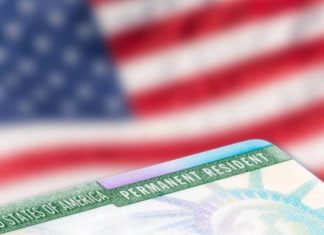 SHBA: Juristja shqiptare krijon platformën informuese rreth emigrimit në Amerikë