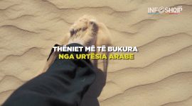 Info Shqip: Thëniet më të bukura nga urtësia Arabe (VIDEO)