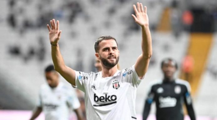 PJANIC-780x439
