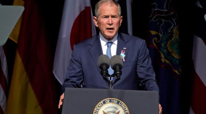 bush
