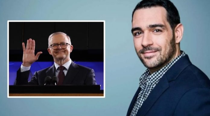 cats-7-e1653334370751-780x439