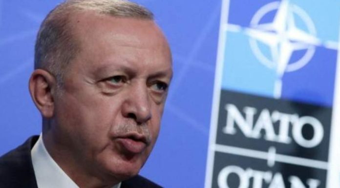 erdogani