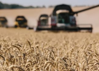 Qeveria e Maqedonisë shfuqizon vendimin për eksport të kufizuar të grurit dhe miellit