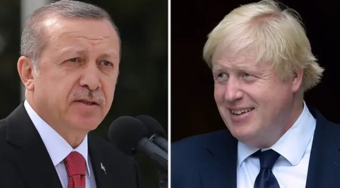 johnnson erdogan