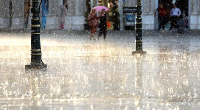 moti-me-shi-sdsdss-800x445