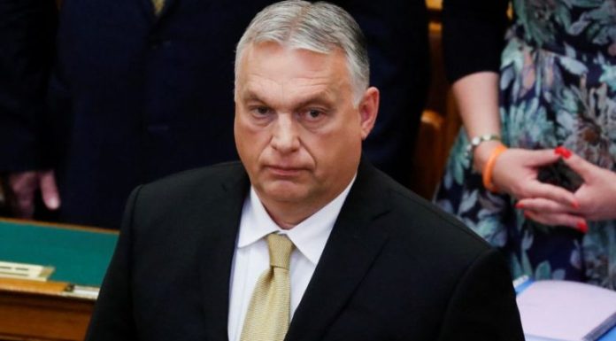 orbani-VDA-e1653417839468-780x439