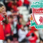 Benfica e ka konfirmuar marrëveshjen me Liverpoolin për Darwin Nunez, pritet që klubi anglez ta zyrtarizojë nënshkrimin e kontratës me lojtarin