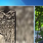 “Do isha në Tropojë me delet”, Fadil Berisha rrëfen historinë familjare që i dha mundësinë e jetës