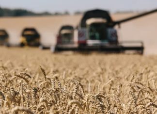 “FP” gjen zgjidhjen për shmangien e krizës ushqimore në botë