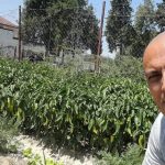 I dënuari me burgim të përjetshëm në grupin “Kumanova” shfaq të mbjellat brenda burgut