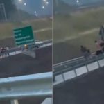 Përleshje masive në një autostradë në Mal të Zi (VIDEO)