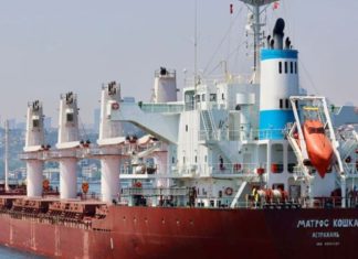 “Çahet” bllokada, mbërrijnë në Ukrainë tetë anijet e para për të marrë grurë