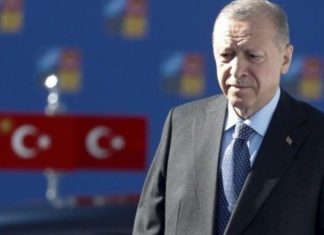 Erdogan kërkon që marrëveshja për eksportin e grurit të zgjatet
