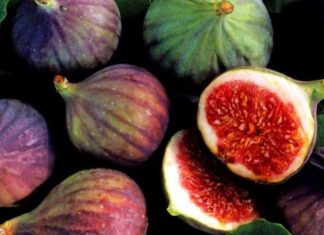 Pse duhet të konsumoni sa më shumë fiq tani në verë