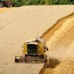 Rusia nis dërgesat e drithërave nga territoret e pushtuara të Ukrainës