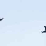 Fluturimi i dy avionëve amerikanë bombardues B52 fut në “sherr” Greqinë me Turqinë
