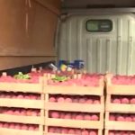 73 milionë dollarë fruta dhe perime kalben në Britani