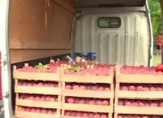 73 milionë dollarë fruta dhe perime kalben në Britani