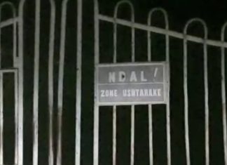 Rusja e uzinës së Gramshit: Spiune apo eksploratore?