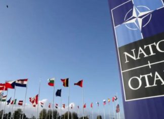 Eksperti i NATO-s: Vuçiç e mori mesazhin çfarë do të ndodhte nëse sulmonte Kosovën
