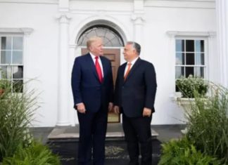 Si po e frymëzon një europian të djathtën amerikane