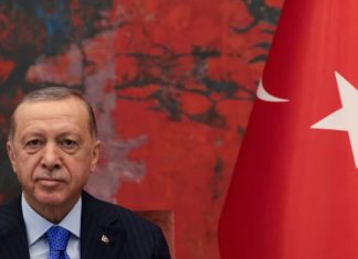 Erdogan në mbështetje të Putinit: Edhe Rusia duhet të eksportojë drithë